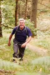 Middle aged man with a backpack hiking in a forest looking at camera, elevated front view, full length