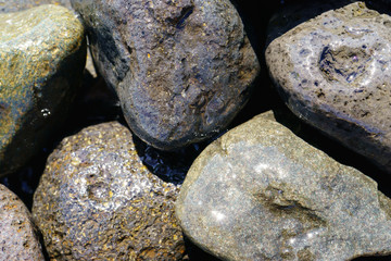 Textured stones at the beach