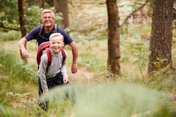 Naklejka na ściany i meble Grandfather and grandson hiking in a forest amongst greenery, front view