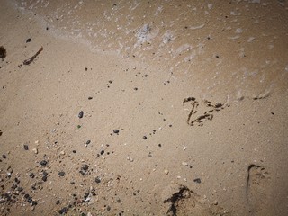 Happy New Year written on the beach