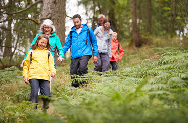 Multi generation family walking in line downhill on a trail in a forest during a camping holiday,...