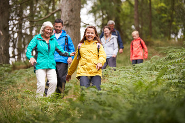 Multi generation family walking downhill on a trail in a forest during a camping holiday, Lake...