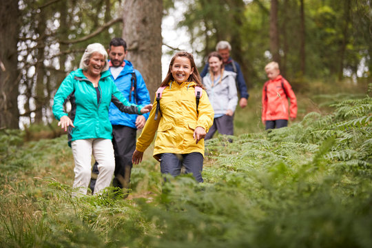 Multi Generation Family Walking Downhill On A Trail In A Forest During A Camping Holiday, Lake District, UK