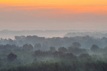 Mystical view from top on forest under haze at early morning. Mist among layers from tree silhouettes in taiga under warm predawn sky. Morning atmospheric minimalistic landscape of majestic nature.