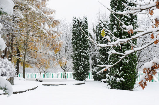 Winter Park Outdoors