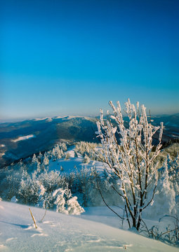 Sunny day in the winter mountains