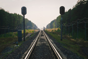 Mystic train travels by rail along forest. Railway traffic light and locomotive on railroad in distance. Mirage on railway track. Atmospheric landscape.