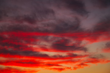 Beautiful bright colorful sky. Picture taken at sunset. Red-orange background with nice paints. Rare sunrise. Natural composition