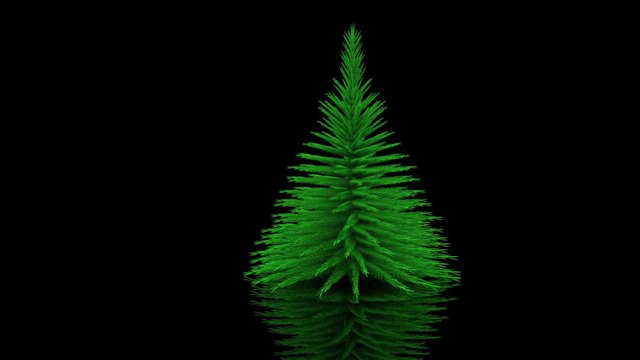 Natale; albero; regali; verde; sfondo; decorazioni; stelle; decorato; vacanza; abete; nuovo; regalo; rosso; dorato; regali; scatola; nastro; Pino; mucchio; santa; sacco; Claus; Simbolo; celebrazione; 