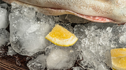 Salmon, fresh fish, fish on ice, advertising, fish store