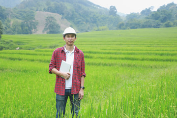 Smart Farming.Management Information System using technologies in agriculture.farmer with tablet computer in field using apps and internet of things(IOT) in production and agricultural research © mansong