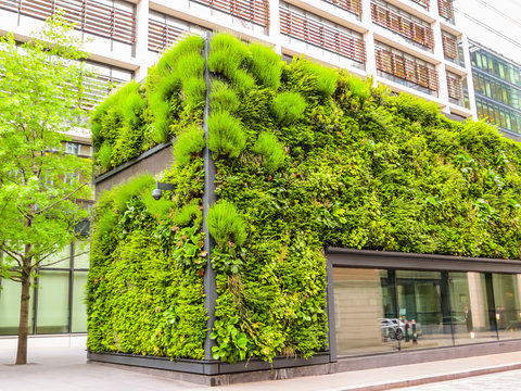 Fototapeta Ecological architecture, green living facade of the building