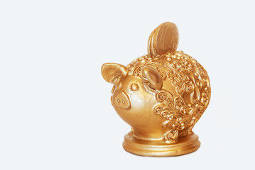 yellow boar symbol of the New year