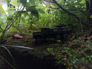 Miniature car in the garden 