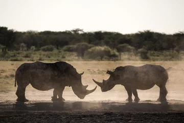 Gardinen Nashorn Two rhino silhouettes at Khama Rhino Sanctuary in Botswana  © Mathias