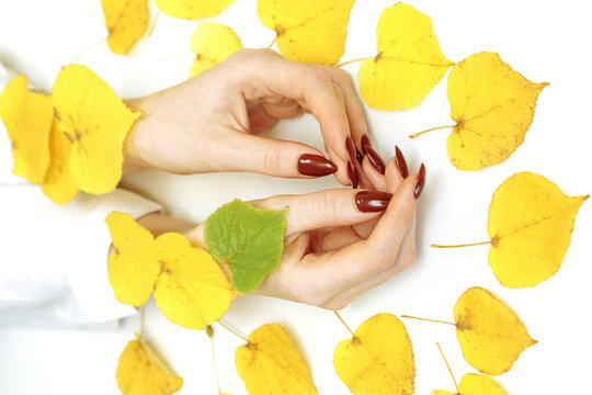 women's hands on white background next to lie yellow leaves hand care concept