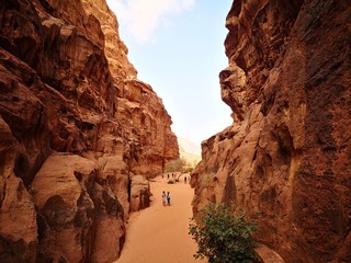 canyon in a desert