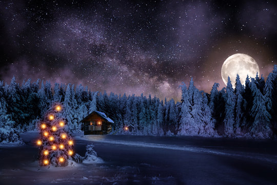 Weihnachten mit Schnee und Weihnachtsbaum im Schwarzwald