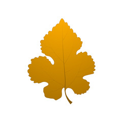Orange Oak Leaf icon. Style is flat design green symbol. Vector illustration.