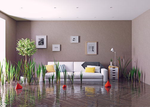 flooding living room.