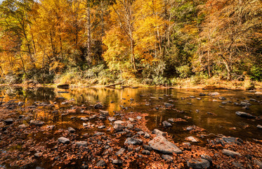 fall color landscape with forest and river and fallen leaves in the foreground near Linville Falls in North Carolina
