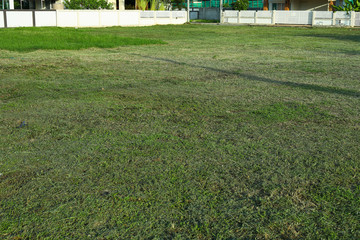 mowed green grass lawn field