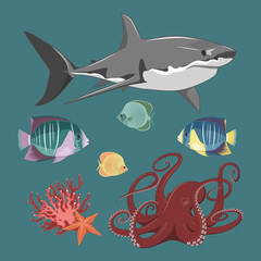 Set of vector images. Fishes, octopus, shark, starfish, corals.