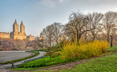 Fototapeta na wymiar Central Park, New York City in spring