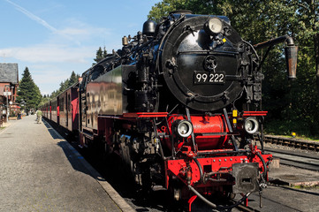 Fototapeta premium Kolej wąskotorowa Harz