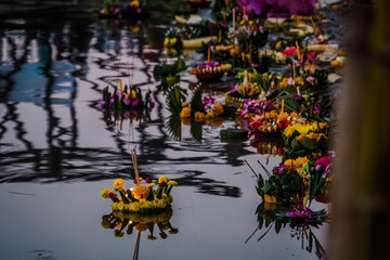 Floating flower baskets on the river during Loi Krathong festival in Chiang Mai, Thailand