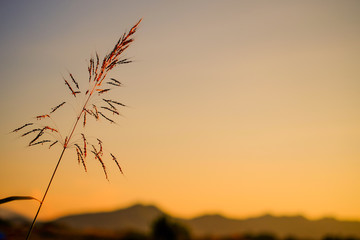 beautiful sunrise and sunset on background.
