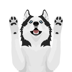 Black and white siberian husky with blue eyes. Husky dog pulls paws up isolated on white background. Vector illustration
