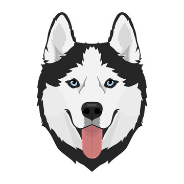 Anime Husky Gifts & Merchandise for Sale | Redbubble