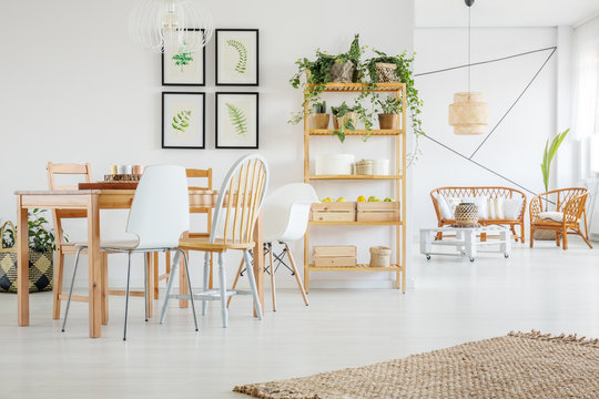 Natural linen rug on white wooden floor in tasteful living and dining room interior with rattan sofa and armchairs and wooden table with elegant chairs and gallery of botanical graphics on empty wall