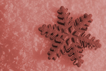 Christmas snowflake (living coral)