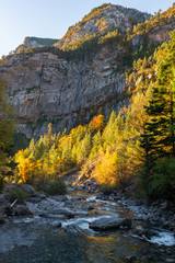 Fototapeta na wymiar Ara River at Bujaruelo valley, Ordesa and Monte Perdido National Park, Huesca, Spain
