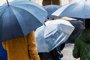 crowds of people with umbrellas