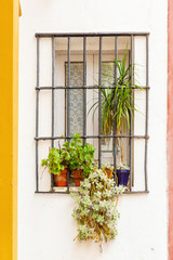 Fototapeta na wymiar window of an old house in Seville, Spain