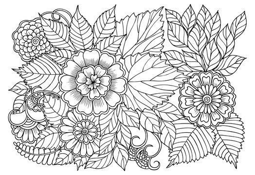 Adult coloring book highly detailed vector pages