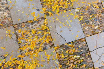 background texture of wet paving stones