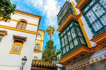 historic buildings in Santa Cruz, Seville, Spain - obrazy, fototapety, plakaty