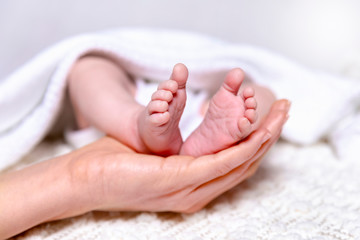 Neugeborenes Baby Konzept: Hand einer Mutter hält Füße eines neugeborenen Babys in der Hand