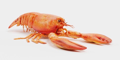 Realistic 3D Render of Cooked Lobster