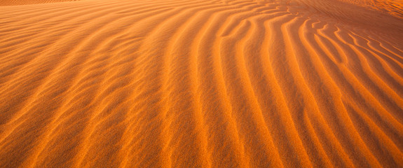 detail of sand dunes in the desert