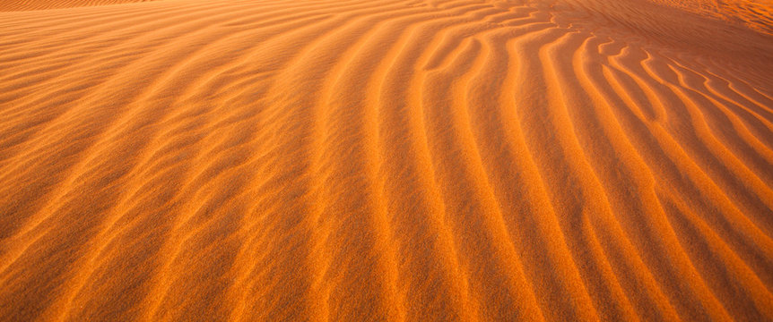 detail of sand dunes in the desert
