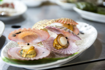 Scallop in shell on the table