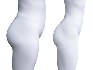 3d rendered medically accurate illustration of a big and a small female butt