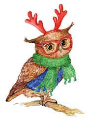 owl with antlers Christmas reindeer and scarf. illustration watercolor