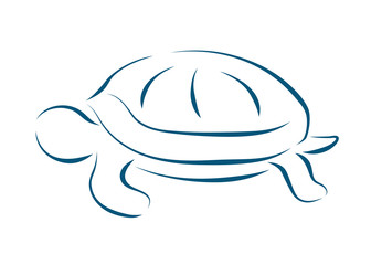 turtle blue outline brushstroke icon