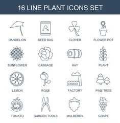 plant icons. Trendy 16 plant icons. Contain icons such as dandelion, seed bag, Clover, flower pot, sunflower, cabbage, hay, lemon, rose, factory. plant icon for web and mobile.